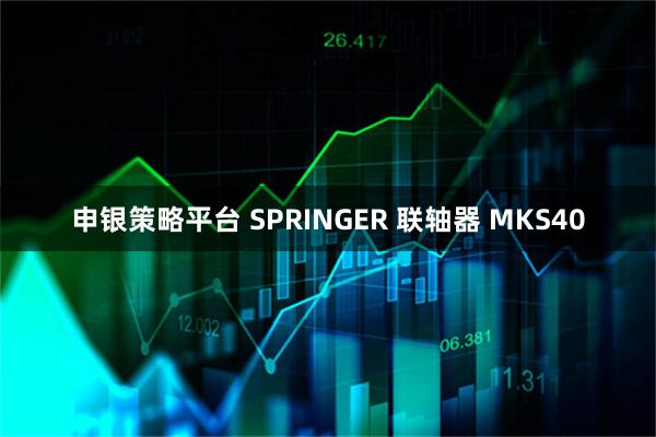 申银策略平台 SPRINGER 联轴器 MKS40