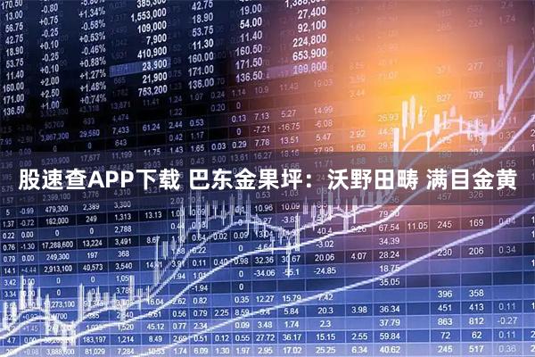 股速查APP下载 巴东金果坪：沃野田畴 满目金黄